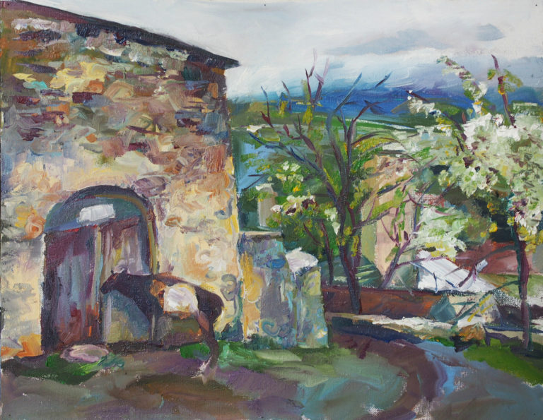 A003P535_In Mestia rain