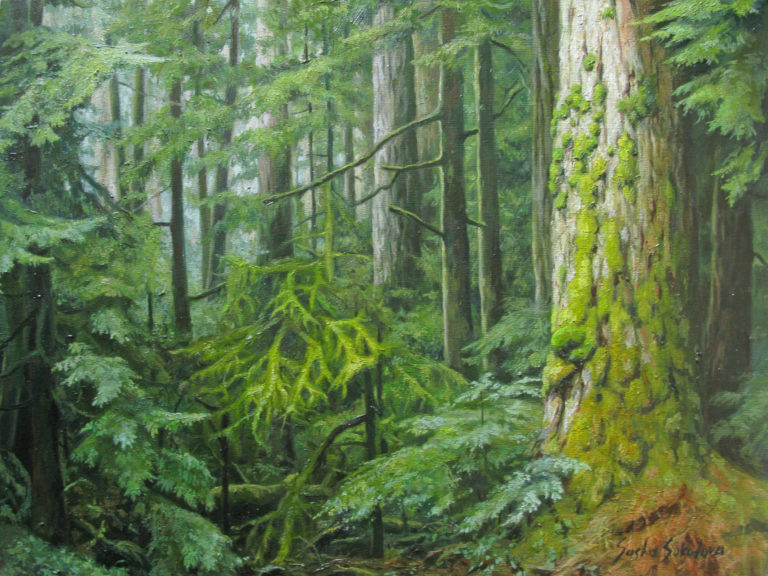 A052P802_Forest
