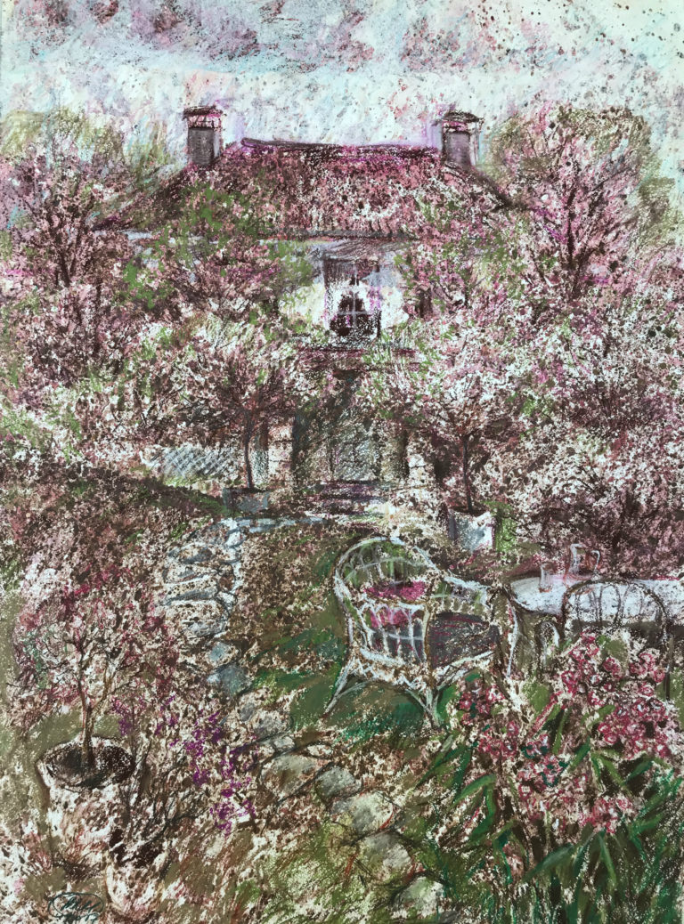 A067P1392_Pink cottage