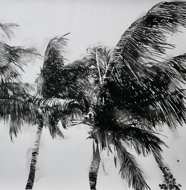 A081P1661_Wind