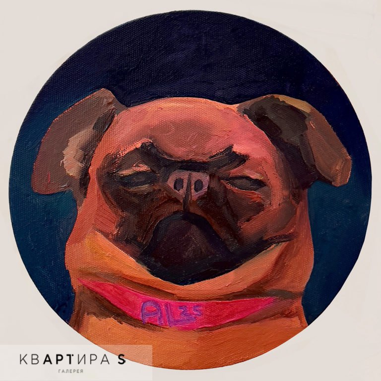 Петит брабансон спит